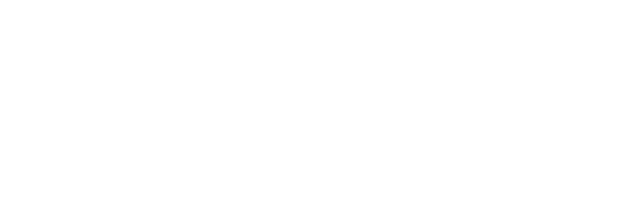 napit logo