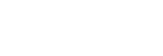 napit logo